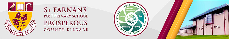 St Farnan's Post Primary School, Prosperous County Kildare